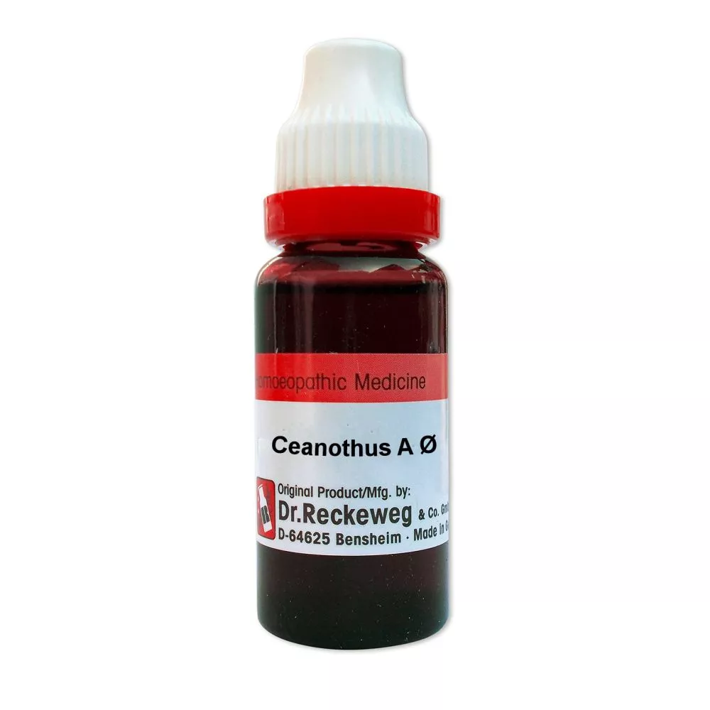 Dr Reckeweg Ceanothus Americanus 1X (Q) (20ml)