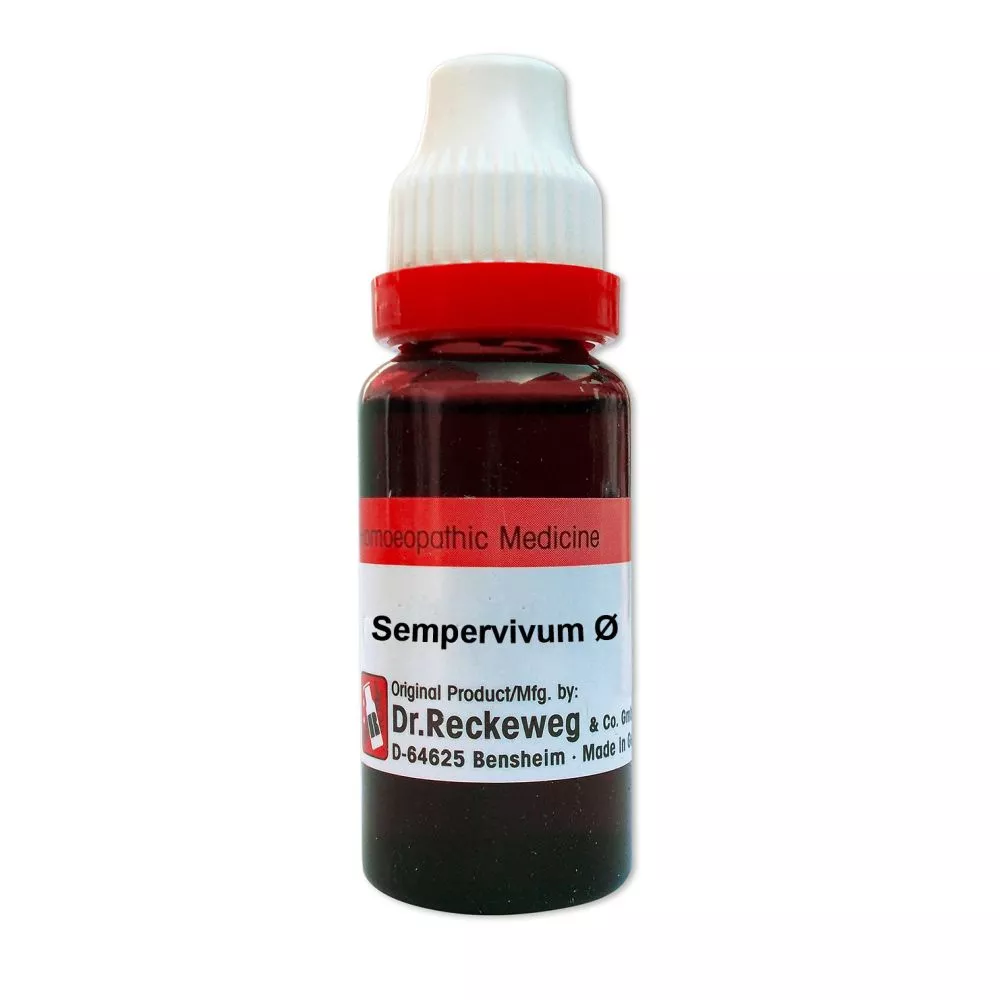 Dr Reckeweg Sempervivum Tectorum 1X (Q) (20ml)